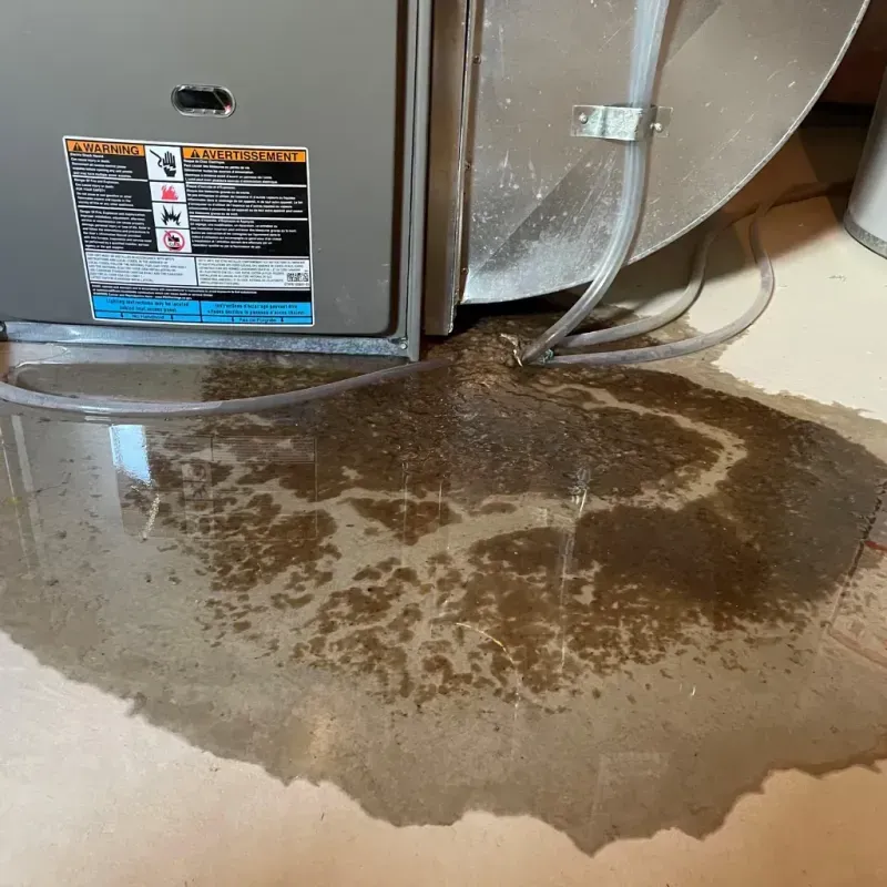 Appliance Leak Cleanup in Bohners Lake, WI